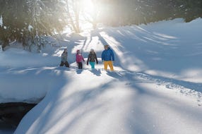 Flachau-Salzburg © Oesterreich-Werbung Fotograf Peter Burgstaller Flachau-Salzburg © Oesterreich-Werbung Fotograf Peter Burgstaller