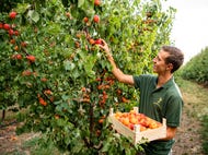 © Oesterreich Werbung Foto: Robert Herbst © Oesterreich Werbung Foto: Robert Herbst