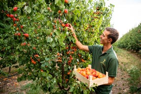 © Oesterreich Werbung Foto: Robert Herbst © Oesterreich Werbung Foto: Robert Herbst