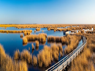 Nationalpark-Neusiedler-See-Seewinkel © Oesterreich-Werbung Foto Julius Silver Nationalpark-Neusiedler-See-Seewinkel © Oesterreich-Werbung Foto Julius Silver