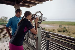Aussichtsturm-Nationalpark-Neusiedler-See-Seewinkel © Oesterreich-Werbung Foto thecreatingclick.com Aussichtsturm-Nationalpark-Neusiedler-See-Seewinkel © Oesterreich-Werbung Foto thecreatingclick.com