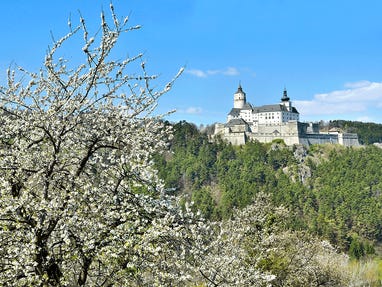 Rosalia-Kogelberg © H. Marek Rosalia-Kogelberg © H. Marek