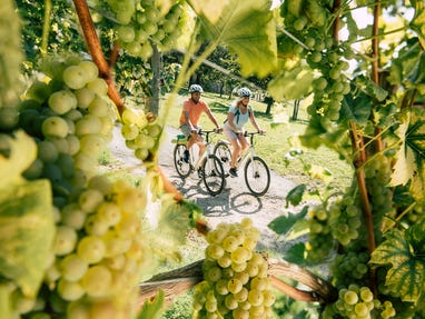 Genussradfahren-in-der-Oststeiermark © Oesterreich-Werbung Foto Bernhard Bergmann Genussradfahren-in-der-Oststeiermark © Oesterreich-Werbung Foto Bernhard Bergmann