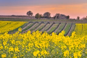 Neusiedler See-Leithagebirge © H. Marek Neusiedler See-Leithagebirge © H. Marek