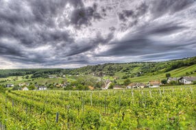 Weinidylle © F. Kovacs Weinidylle © F. Kovacs