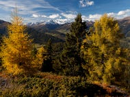 Herbst am Kramerkogel bei St. Georgen am Kreischberg © Steiermark Tourismus / Uwe Grinzinger Herbst am Kramerkogel bei St. Georgen am Kreischberg © Steiermark Tourismus / Uwe Grinzinger