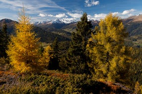 Herbst am Kramerkogel bei St. Georgen am Kreischberg © Steiermark Tourismus / Uwe Grinzinger Herbst am Kramerkogel bei St. Georgen am Kreischberg © Steiermark Tourismus / Uwe Grinzinger