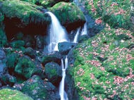 Wasserfall im Nationalpark Kalkalpen © F. Kovacs Wasserfall im Nationalpark Kalkalpen © F. Kovacs
