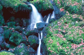 Wasserfall im Nationalpark Kalkalpen © F. Kovacs Wasserfall im Nationalpark Kalkalpen © F. Kovacs