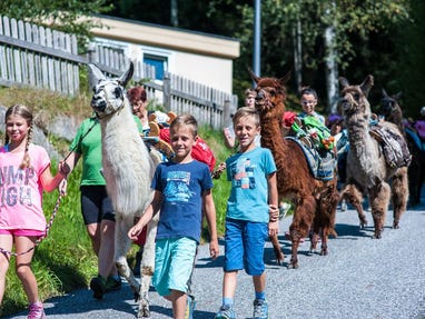 Spaß mit Lamas und Alpakas beim Ferienprogramm © Zell am See-Kaprun Tourismus / Mairitsch Spaß mit Lamas und Alpakas beim Ferienprogramm © Zell am See-Kaprun Tourismus / Mairitsch