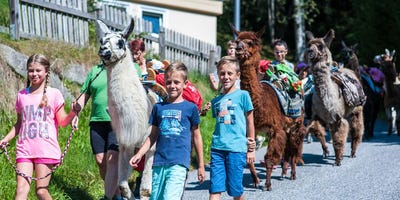 Spaß mit Lamas und Alpakas beim Ferienprogramm © Zell am See-Kaprun Tourismus / Mairitsch Spaß mit Lamas und Alpakas beim Ferienprogramm © Zell am See-Kaprun Tourismus / Mairitsch