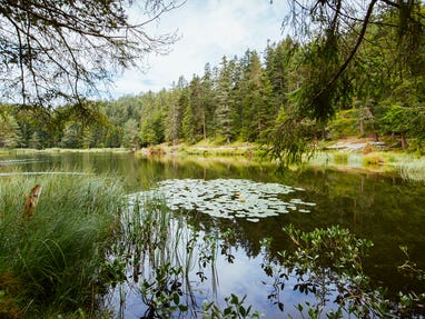 Moeserer-See-bei-Seefeld-in-Tirol © Oesterreich-Werbung Foto Karolin Pernegger Moeserer-See-bei-Seefeld-in-Tirol © Oesterreich-Werbung Foto Karolin Pernegger