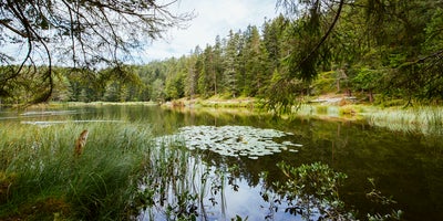 Moeserer-See-bei-Seefeld-in-Tirol © Oesterreich-Werbung Foto Karolin Pernegger Moeserer-See-bei-Seefeld-in-Tirol © Oesterreich-Werbung Foto Karolin Pernegger