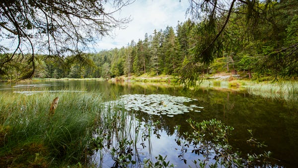 Moeserer-See-bei-Seefeld-in-Tirol © Oesterreich-Werbung Foto Karolin Pernegger Moeserer-See-bei-Seefeld-in-Tirol © Oesterreich-Werbung Foto Karolin Pernegger