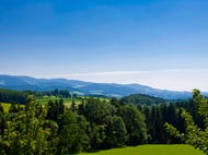 Mariazeller Weg, Pöllauer Tal © Steiermark Tourismus / Leo Himsl Mariazeller Weg, Pöllauer Tal © Steiermark Tourismus / Leo Himsl