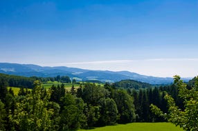 Mariazeller Weg, Pöllauer Tal © Steiermark Tourismus / Leo Himsl Mariazeller Weg, Pöllauer Tal © Steiermark Tourismus / Leo Himsl