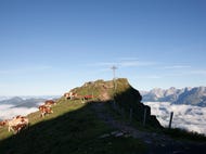 Kitzbueheler-Horn © Tirol-Werbung Foto Michael Rathmayr Kitzbueheler-Horn © Tirol-Werbung Foto Michael Rathmayr