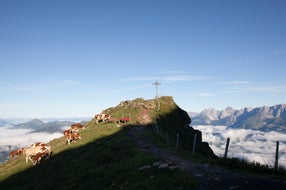 Kitzbueheler-Horn © Tirol-Werbung Foto Michael Rathmayr