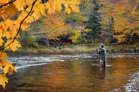 Fischen im Zauchbach in Zauchensee © zauchensee.com Fischen im Zauchbach in Zauchensee © zauchensee.com