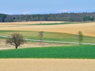 Naturpark-Weinidylle © E. Neffe Naturpark-Weinidylle © E. Neffe