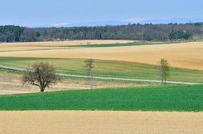 Naturpark-Weinidylle © E. Neffe Naturpark-Weinidylle © E. Neffe