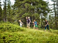 Familienwanderung auf Tillys Waldpfad © MAYA Inspiranto (Tourismusverband Rauris) Familienwanderung auf Tillys Waldpfad © MAYA Inspiranto (Tourismusverband Rauris)