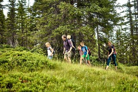 Familienwanderung auf Tillys Waldpfad © MAYA Inspiranto (Tourismusverband Rauris) Familienwanderung auf Tillys Waldpfad © MAYA Inspiranto (Tourismusverband Rauris)