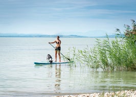 Ike-Hodits-beim-Standup-Paddeling-am-Neusiedlersee © Oesterreich-Werbung Foto Dietmar Denger