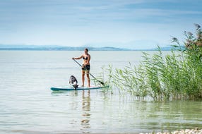 Ike-Hodits-beim-Standup-Paddeling-am-Neusiedlersee © Oesterreich-Werbung Foto Dietmar Denger Ike-Hodits-beim-Standup-Paddeling-am-Neusiedlersee © Oesterreich-Werbung Foto Dietmar Denger
