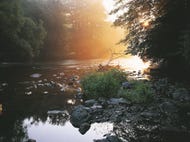 Abend-im-Nationalpark-Thayatal © Oesterreich-Werbung Foto Georg Popp Abend-im-Nationalpark-Thayatal © Oesterreich-Werbung Foto Georg Popp