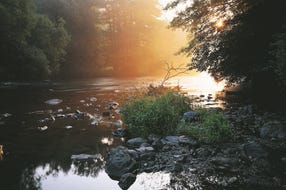 Abend-im-Nationalpark-Thayatal © Oesterreich-Werbung Foto Georg Popp Abend-im-Nationalpark-Thayatal © Oesterreich-Werbung Foto Georg Popp
