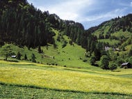 Heuernte-im-Brandner-Tal © Oesterreich-Werbung Fotograf Hans Wiesenhofer Heuernte-im-Brandner-Tal © Oesterreich-Werbung Fotograf Hans Wiesenhofer