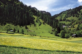 Heuernte-im-Brandner-Tal © Oesterreich-Werbung Fotograf Hans Wiesenhofer