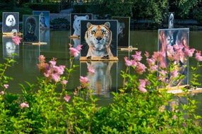 Festival La Gacilly - Baden Photo 2018 © Lois Lammerhuber Festival La Gacilly - Baden Photo 2018 © Lois Lammerhuber