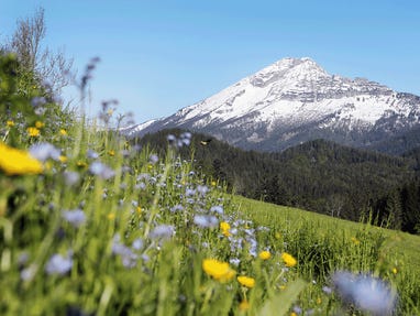 Oetscher © F. Weingartner Oetscher © F. Weingartner