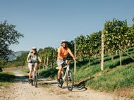 Genussradfahren-in-der-Oststeiermark © Oesterreich-Werbung Foto Bernhard Bergmann Genussradfahren-in-der-Oststeiermark © Oesterreich-Werbung Foto Bernhard Bergmann