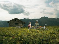 Grossarl-Mountainbike © Oesterreich-Werbung Foto Andreas Hofer Grossarl-Mountainbike © Oesterreich-Werbung Foto Andreas Hofer