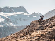 Bike-Republic-Soelden © Oetztal-Tourismus Foto Rudi Wyhlidal Bike-Republic-Soelden © Oetztal-Tourismus Foto Rudi Wyhlidal