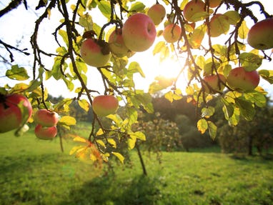 © Steiermark Tourismus / Harry Schiffer © Steiermark Tourismus / Harry Schiffer
