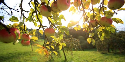 © Steiermark Tourismus / Harry Schiffer © Steiermark Tourismus / Harry Schiffer