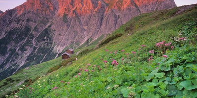 Brandnertal-in-Vorarlberg © Oesterreich-Werbung Fotograf Popp Hackner