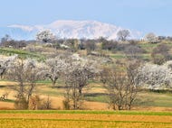 Naturpark_Rosalia-Kogelberg © H. Marek Naturpark_Rosalia-Kogelberg © H. Marek