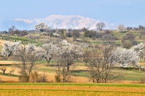 Naturpark_Rosalia-Kogelberg © H. Marek Naturpark_Rosalia-Kogelberg © H. Marek