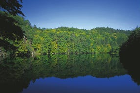 Nationalpark-Thayatal-Teich-bei-Hardegg © Oesterreich-Werbung Foto Georg Popp Nationalpark-Thayatal-Teich-bei-Hardegg © Oesterreich-Werbung Foto Georg Popp