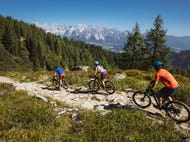 Mountainbiken-in-der-Region-Schladming-Dachstein © Oesterreich-Werbung Foto Sebastian Stiphout Mountainbiken-in-der-Region-Schladming-Dachstein © Oesterreich-Werbung Foto Sebastian Stiphout