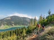 Mountainbikefahren-in-der-Region-Weissensee © Oesterreich-Werbung Foto Martin Steinthaler - TineFoto Mountainbikefahren-in-der-Region-Weissensee © Oesterreich-Werbung Foto Martin Steinthaler - TineFoto