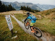 Mountainbiken-rund-um-Kirchberg-Region-Kitzbueheler-Alpen © Bregenzerwald-Tourismus Foto Charly Schwarz Mountainbiken-rund-um-Kirchberg-Region-Kitzbueheler-Alpen © Bregenzerwald-Tourismus Foto Charly Schwarz