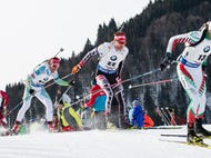 Anrephoto / Shutterstock.com Anrephoto / Shutterstock.com