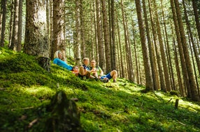 Entspannung-im-Wald-Region-Rauris © SalzburgerLand Tourismus