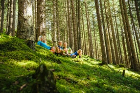 Entspannung-im-Wald-Region-Rauris © SalzburgerLand Tourismus Entspannung-im-Wald-Region-Rauris © SalzburgerLand Tourismus